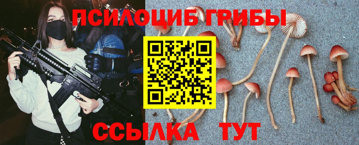 Галлюциногенные грибы ЛСД Новоалександровск