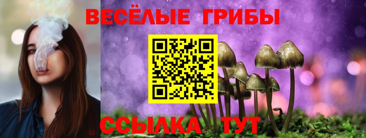 Псилоцибиновые грибы Cubensis  Вход с VPN  Псилоцибиновые грибы мухоморы  Новоалександровск 